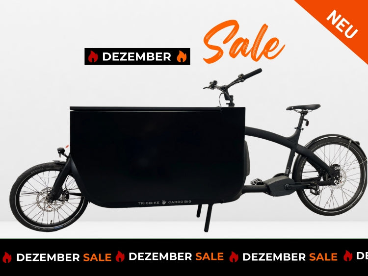 Triobike Cargo Big + Box NEU - Black matt
