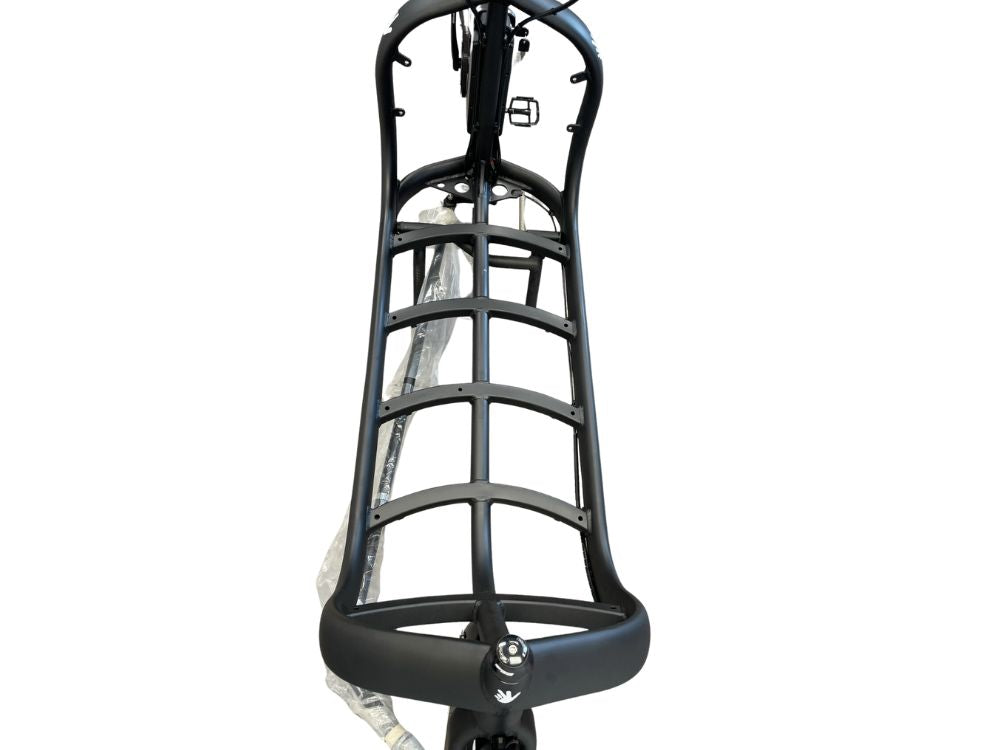 Triobike Cargo Big NEU - Black matt