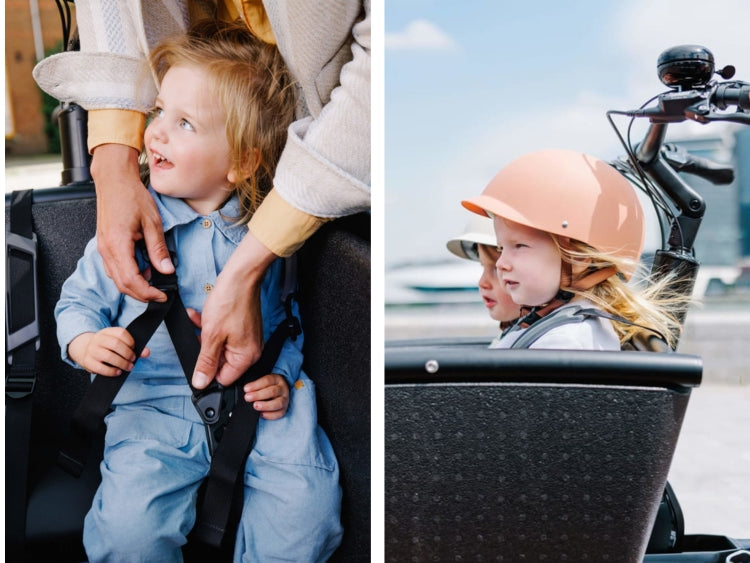 Urban Arrow Family Cargo Line 2024 NEU + Kinderbox