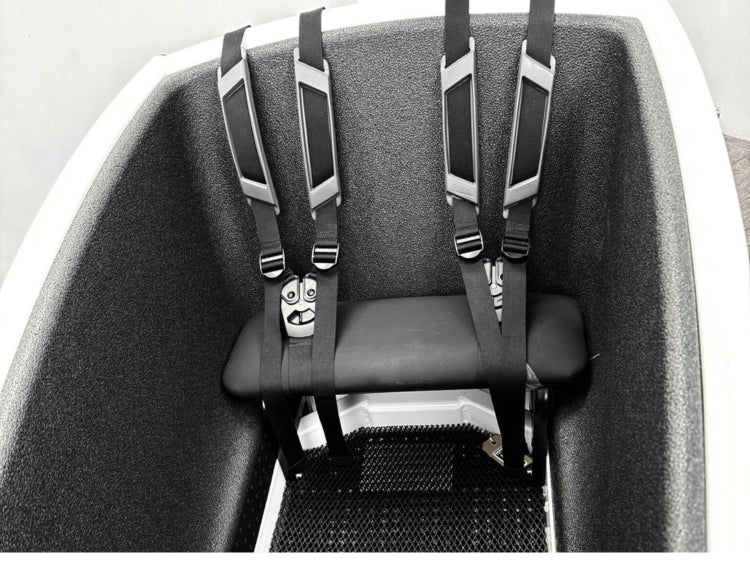 Urban Arrow Family Cargo Line NEU + Box