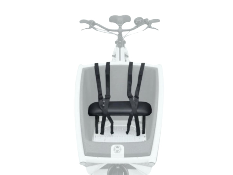 Urban Arrow Family Cargo Line NEU + Box