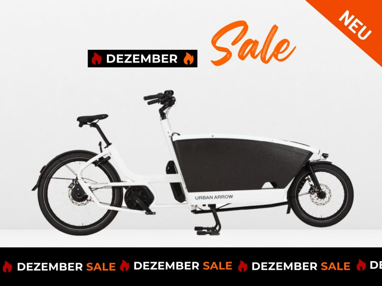 Urban Arrow Family Cargo Line 2024 NEU + Kinderbox